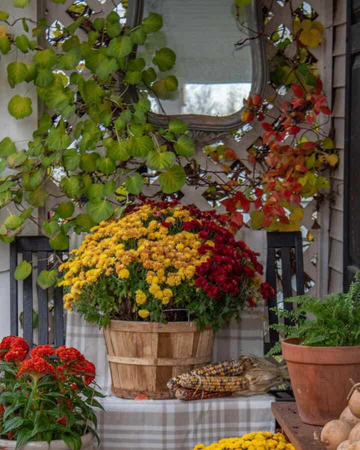Fall Combo Planter Bushel Basket - View 13 from www redcrocus com