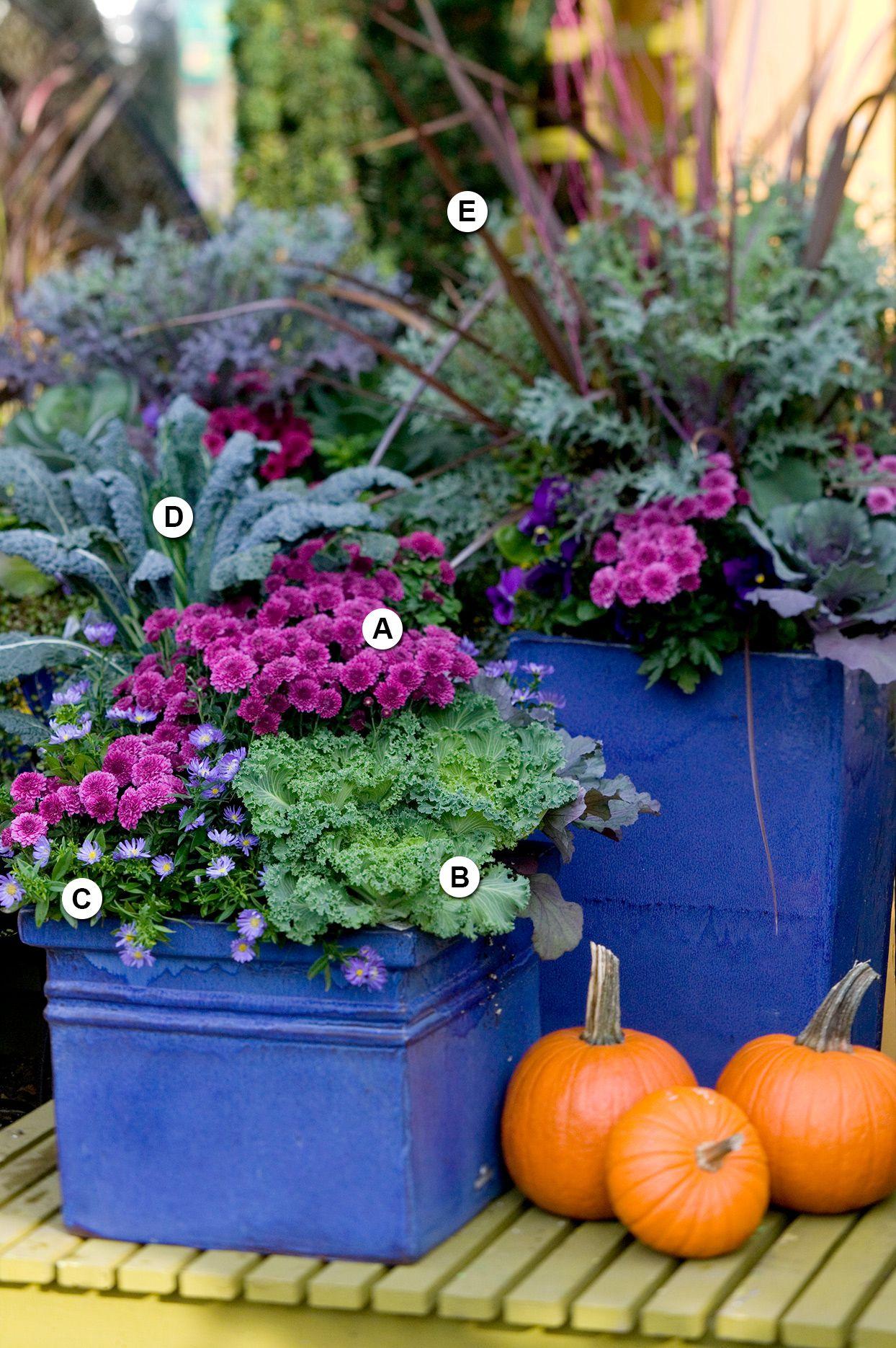 Fall Combo Planter Bushel Basket - View 16 from www redcrocus com