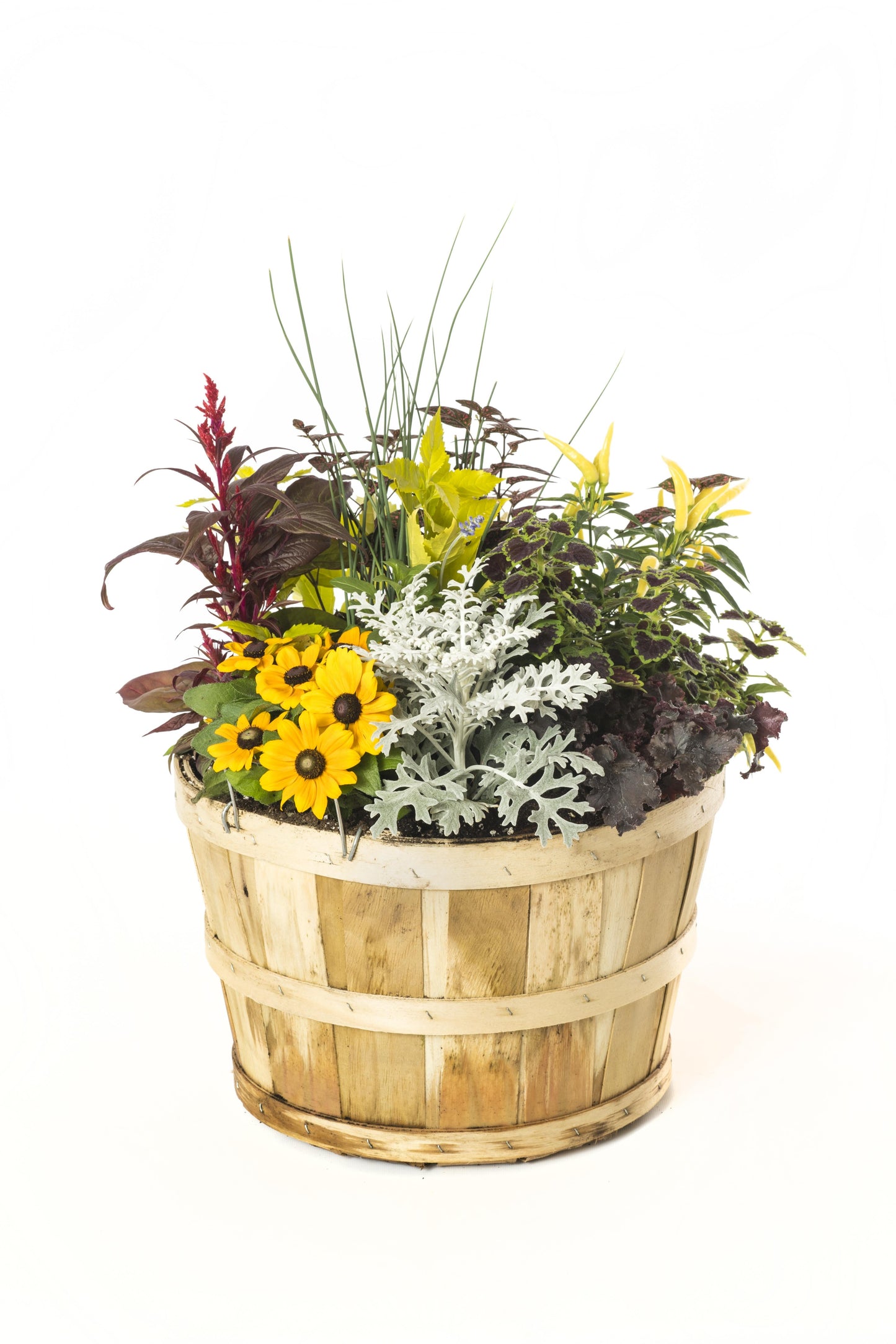 Fall Combo Planter Bushel Basket - View 17 from www redcrocus com