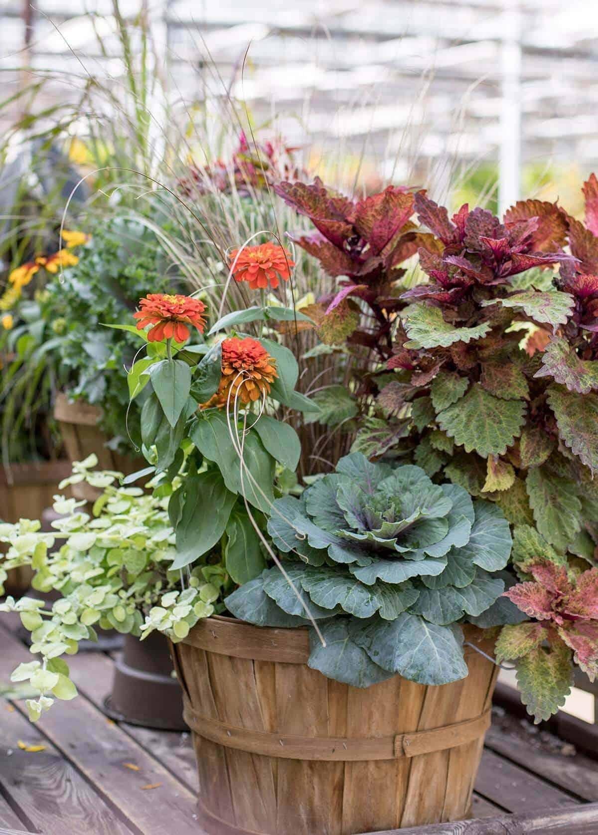Fall Combo Planter Bushel Basket - View 18 from www redcrocus com