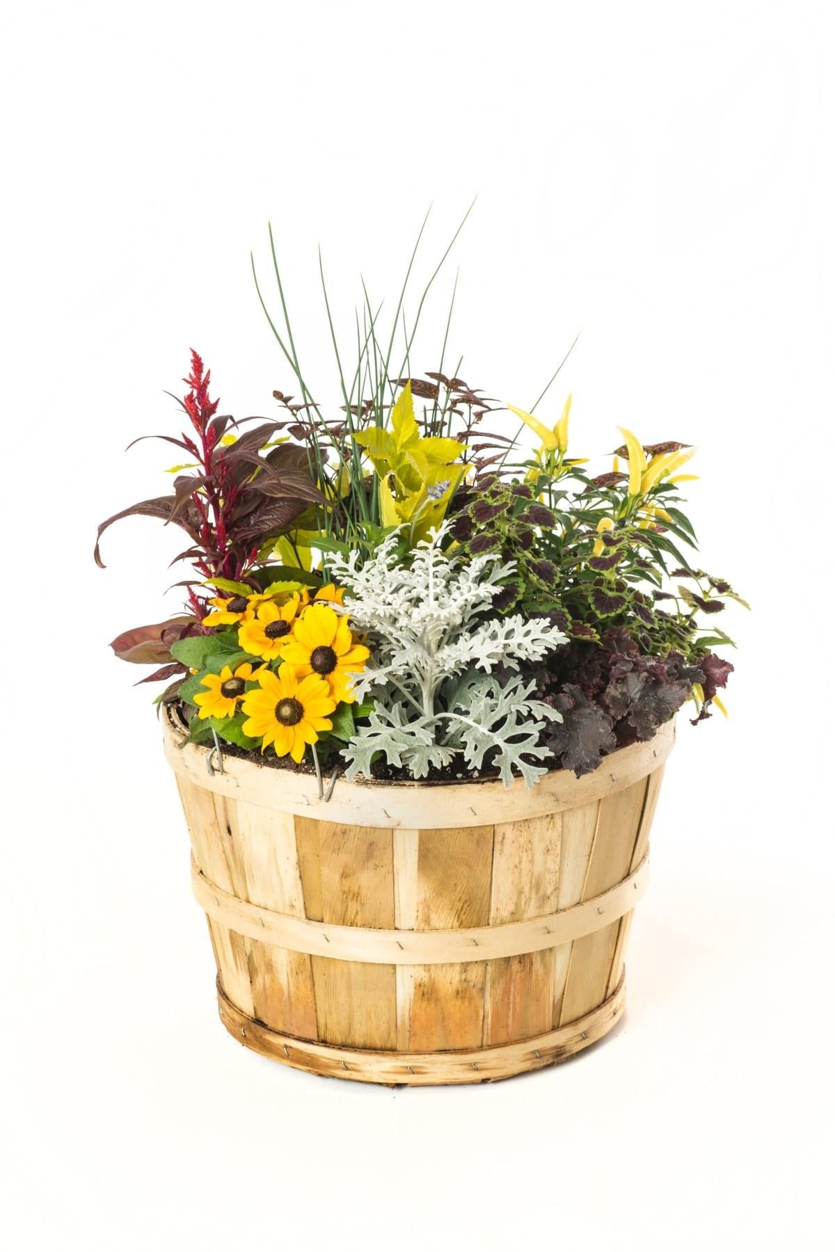 Fall Combo Planter Bushel Basket - View 6 from www redcrocus com