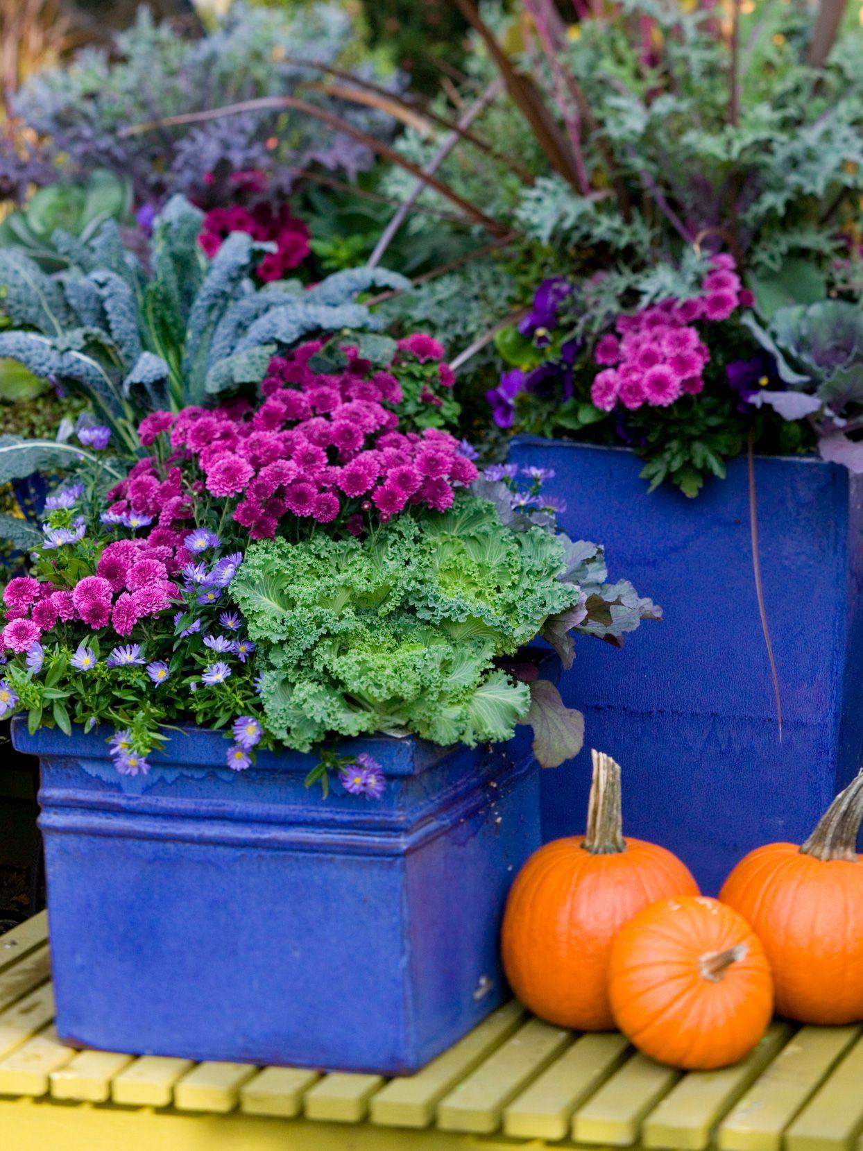 Fall Combo Planter Bushel Basket - View 8 from www redcrocus com