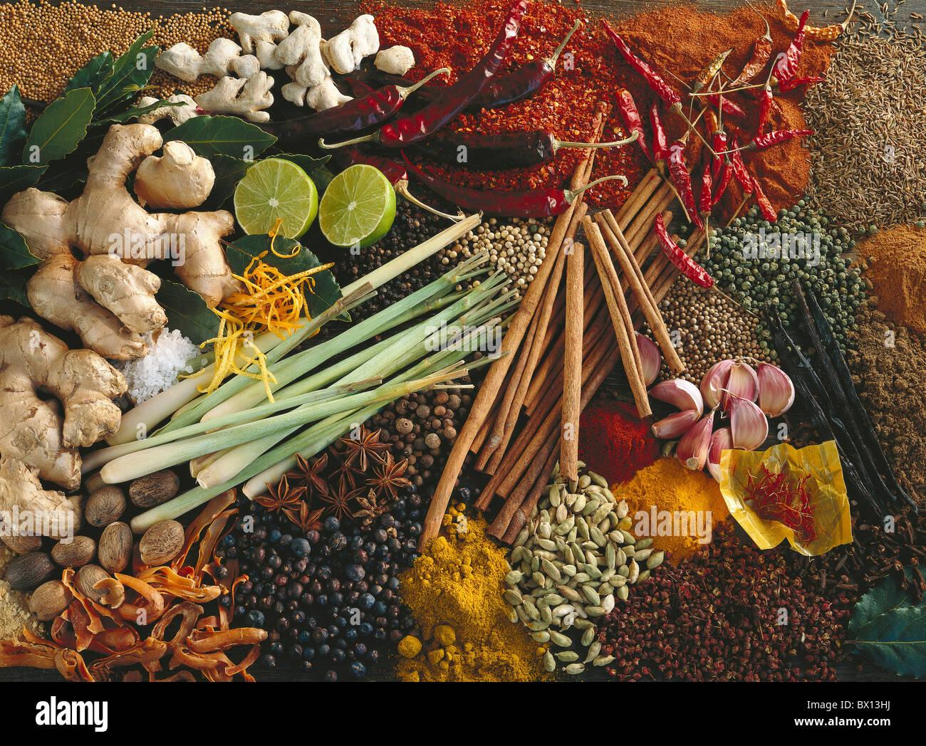 Curcuma, Assorted - View 17 from www redcrocus com