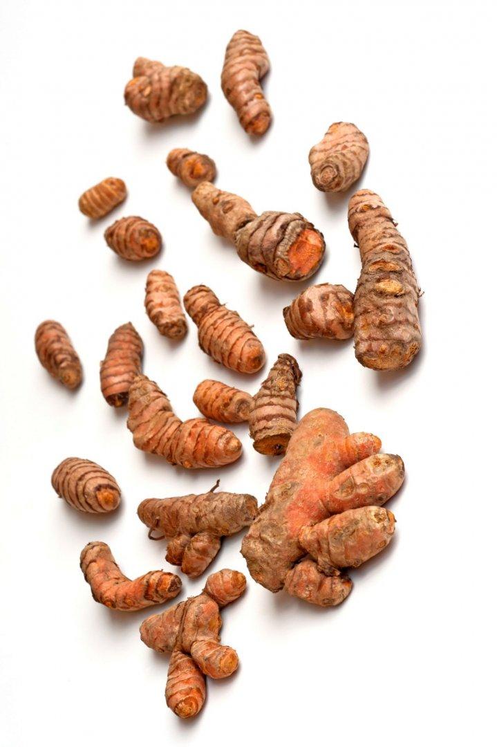 Curcuma, Assorted - View 1 from www redcrocus com