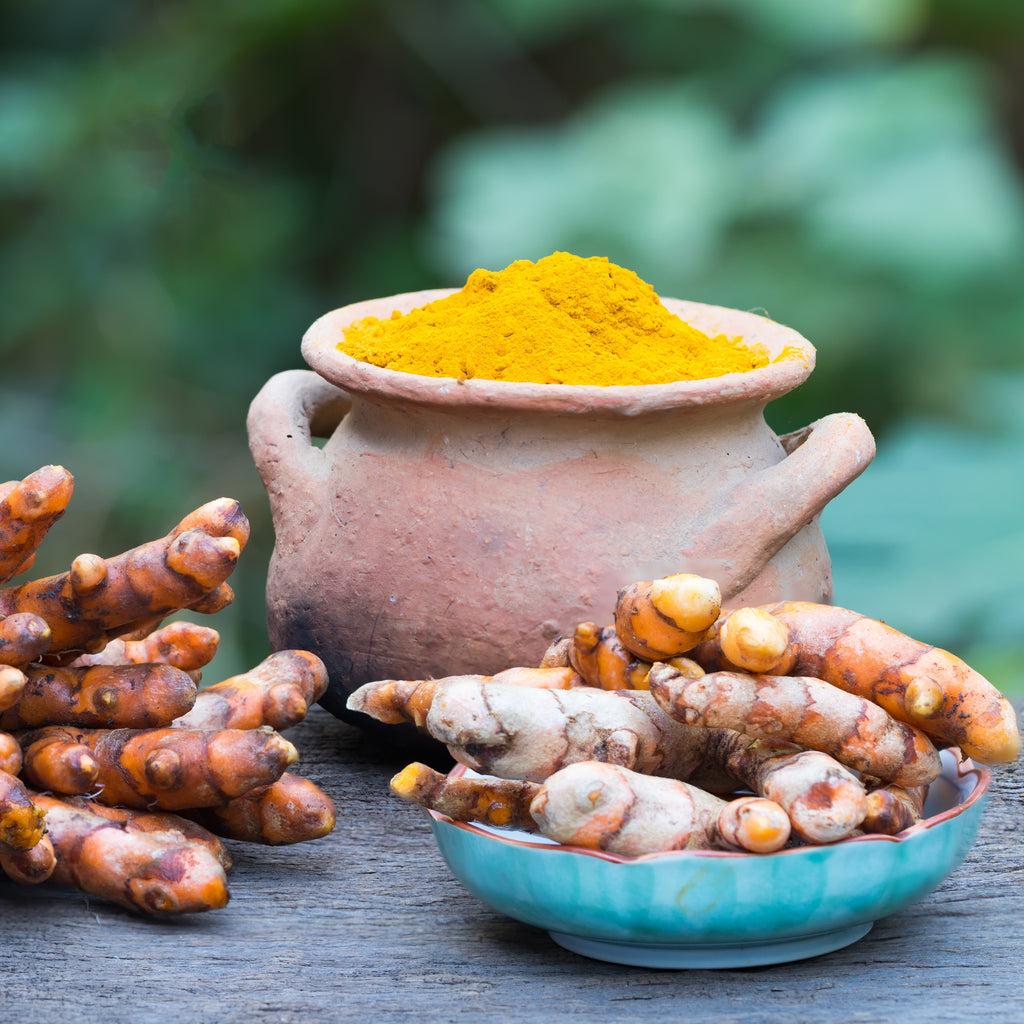 Curcuma, Assorted - View 8 from www redcrocus com