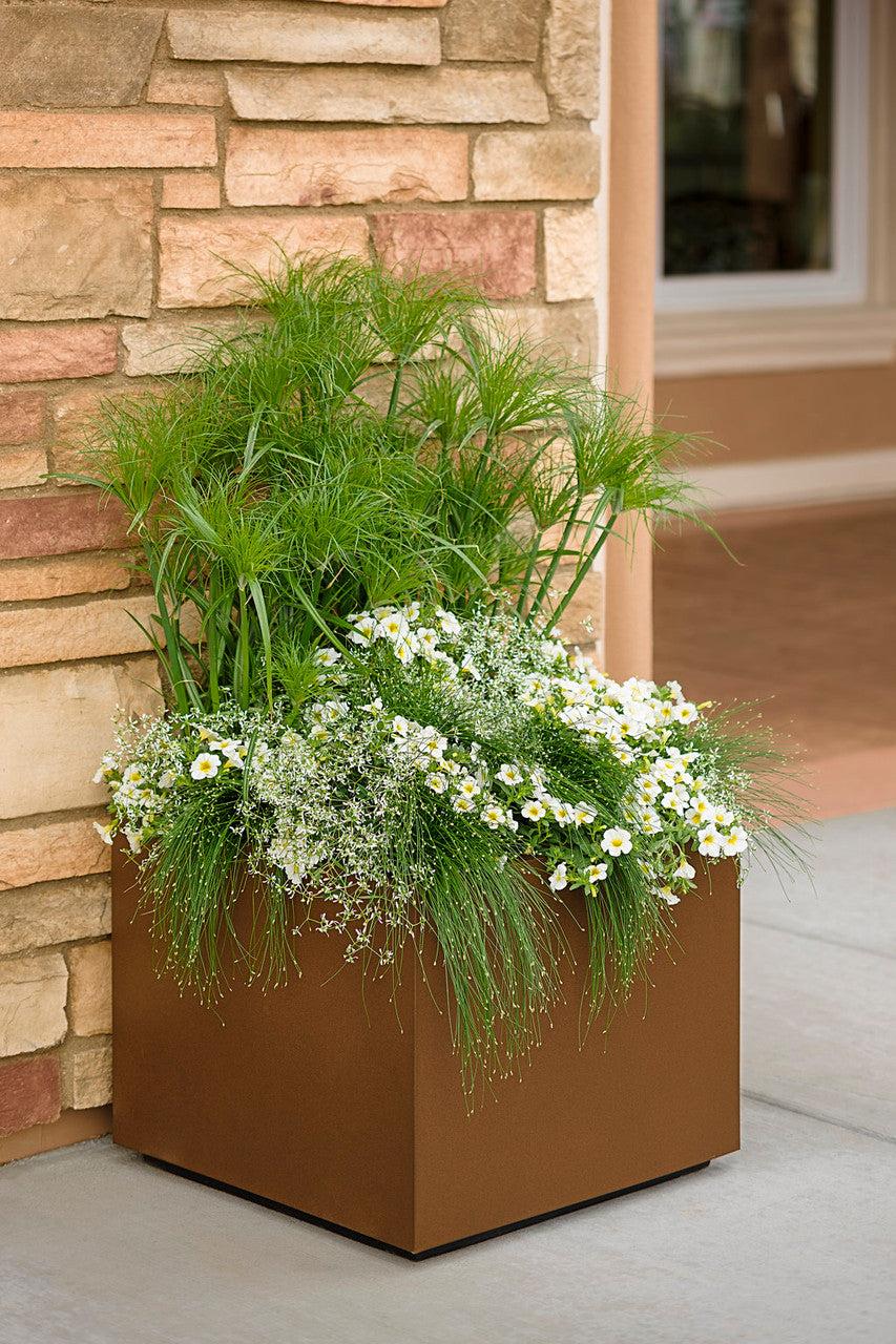 Fall Combo Fiber Planter - View 13 from www redcrocus com