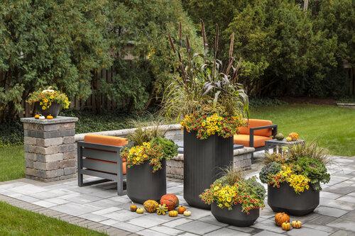 Fall Combo Fiber Planter - View 14 from www redcrocus com