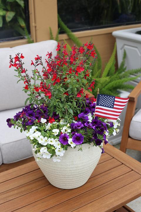 Fall Combo Fiber Planter - View 17 from www redcrocus com