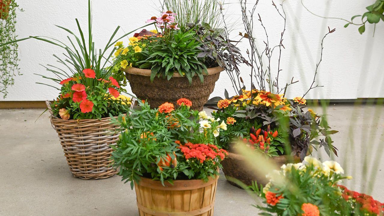 Fall Combo Fiber Planter - View 3 from www redcrocus com