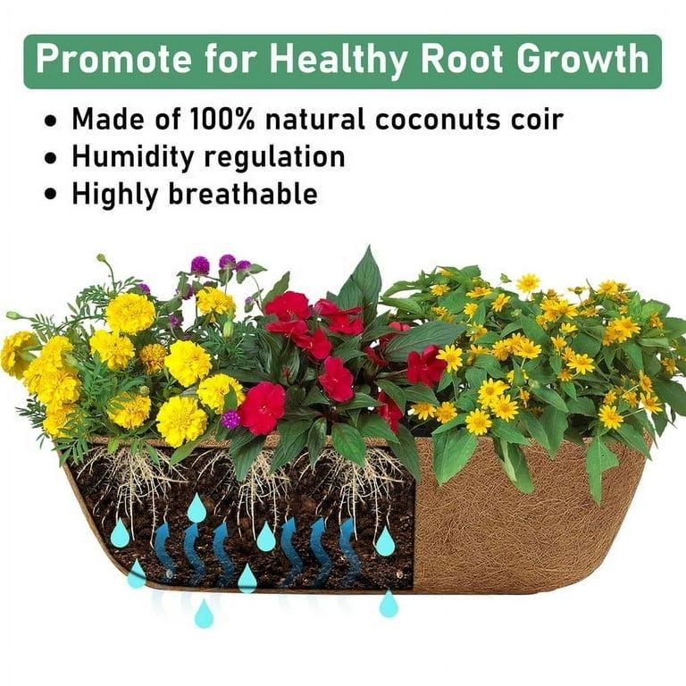 Fall Combo Fiber Planter - View 6 from www redcrocus com