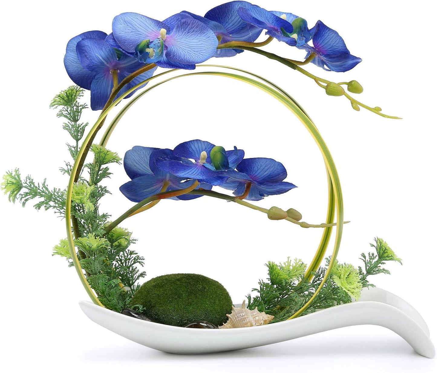 Phalaenopsis Orchid Assorted Decorative Pot - View 12 from www redcrocus com
