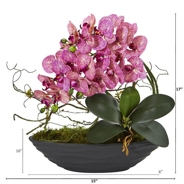 Phalaenopsis Orchid Assorted Decorative Pot - View 7 from www redcrocus com
