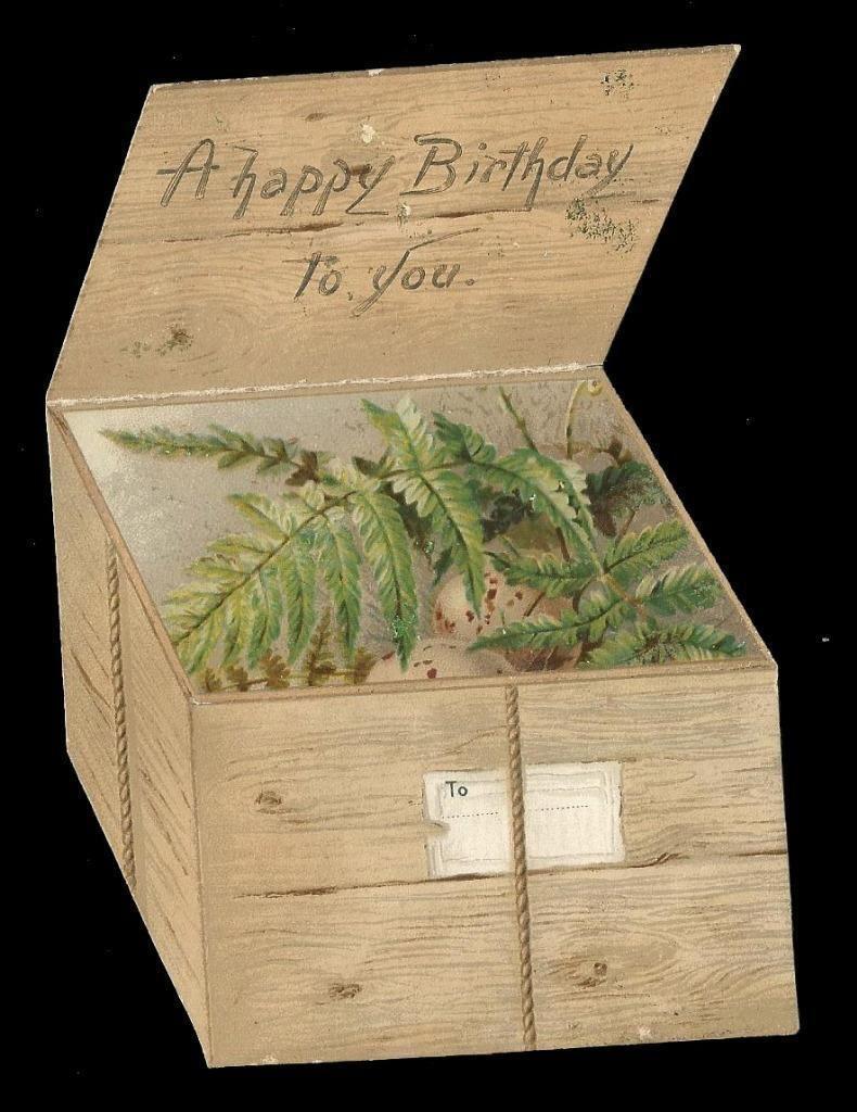 Fern Wooden Crate - View 12 from www redcrocus com