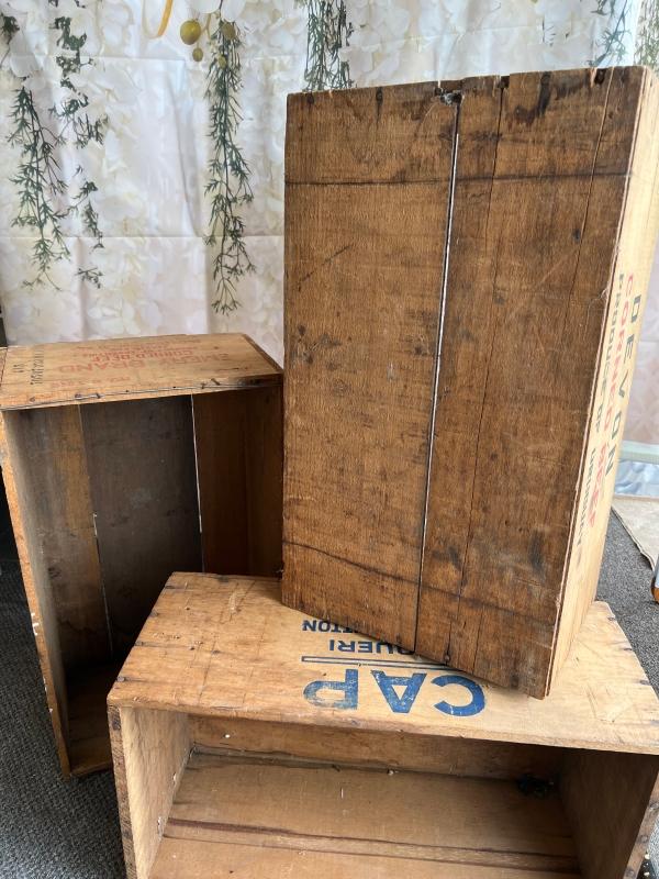 Fern Wooden Crate - View 14 from www redcrocus com