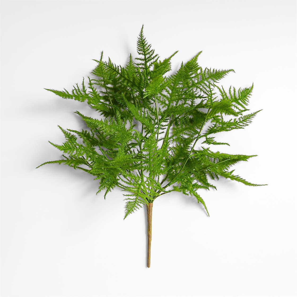 Fern Wooden Crate - View 15 from www redcrocus com