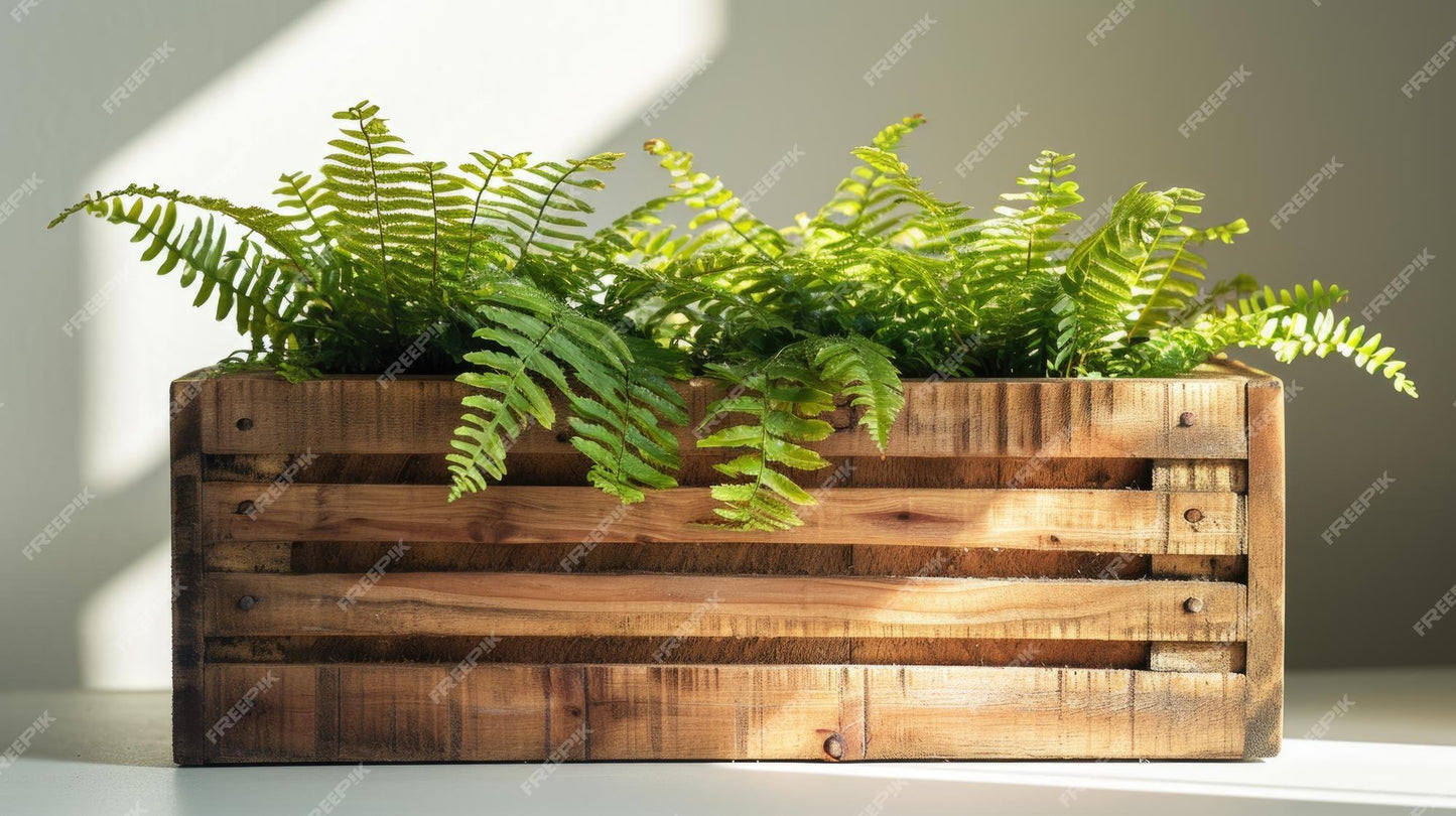 Fern Wooden Crate - View 1 from www redcrocus com