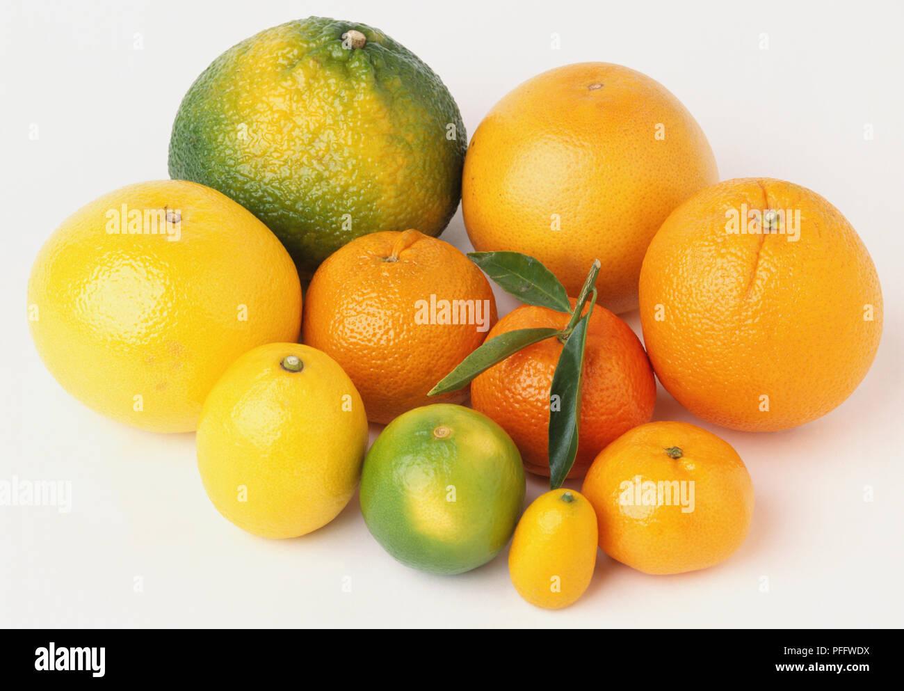 Citrus Lemon Assorted - View 10 from www redcrocus com
