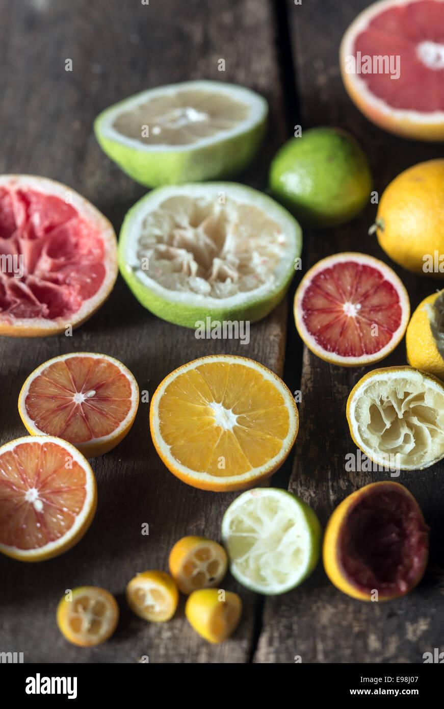 Citrus Orange Assorted - View 8 from www redcrocus com