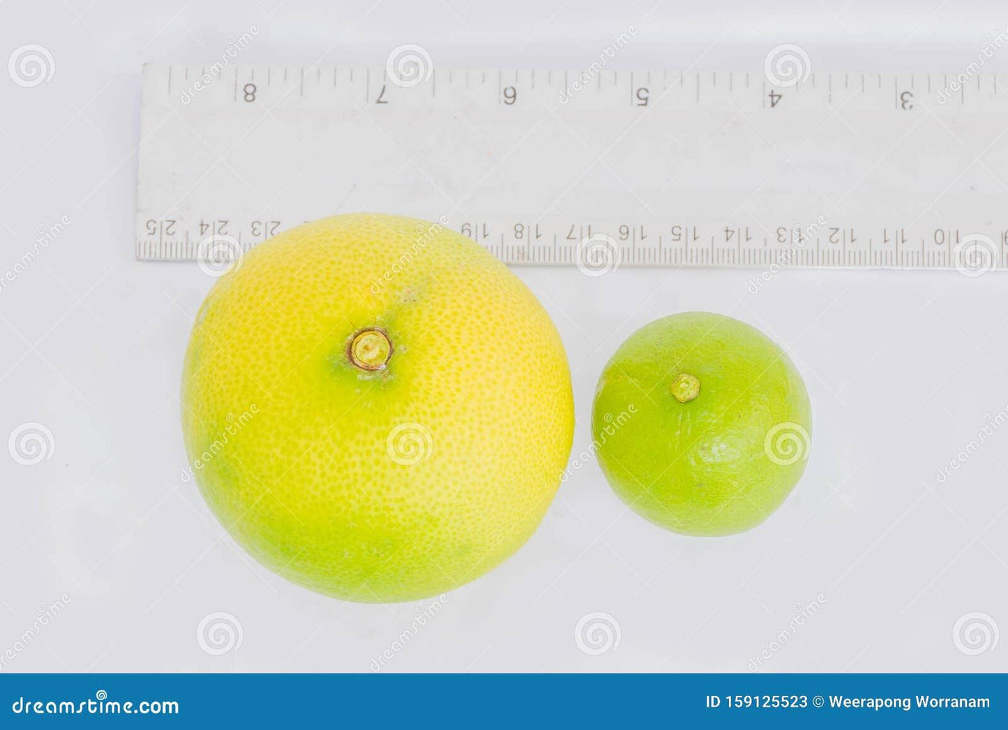 Citrus Lime Assorted Standard - View 18 from www redcrocus com
