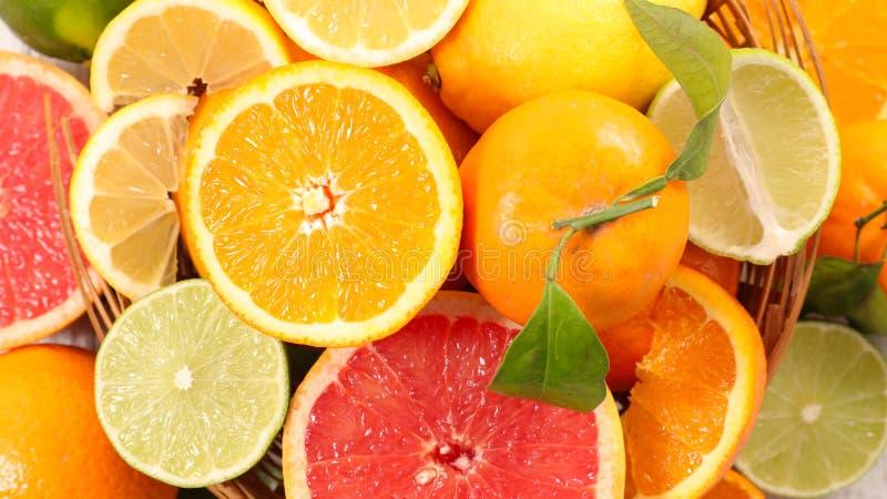 Citrus Lemon Assorted - View 6 from www redcrocus com