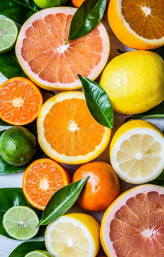 Citrus Lemon Assorted - View 9 from www redcrocus com