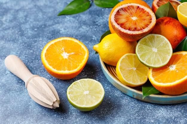 Citrus Lime Assorted - View 14 from www redcrocus com