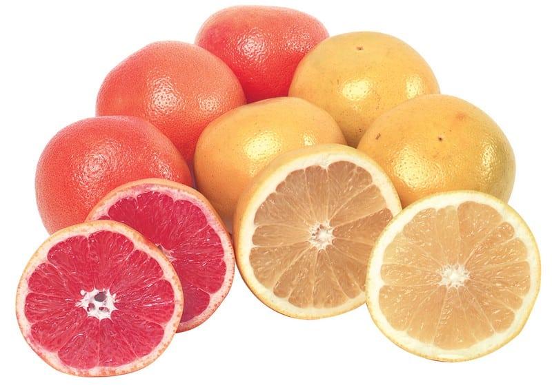 Citrus Grapefruit Assorted Standard - View 14 from www redcrocus com