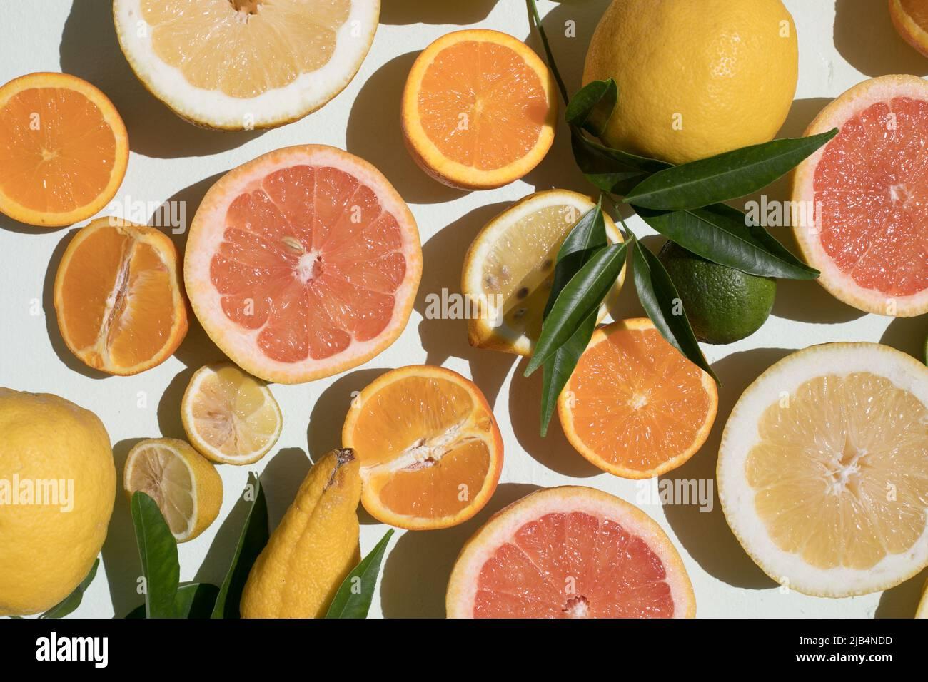 Citrus Grapefruit Assorted Standard - View 17 from www redcrocus com