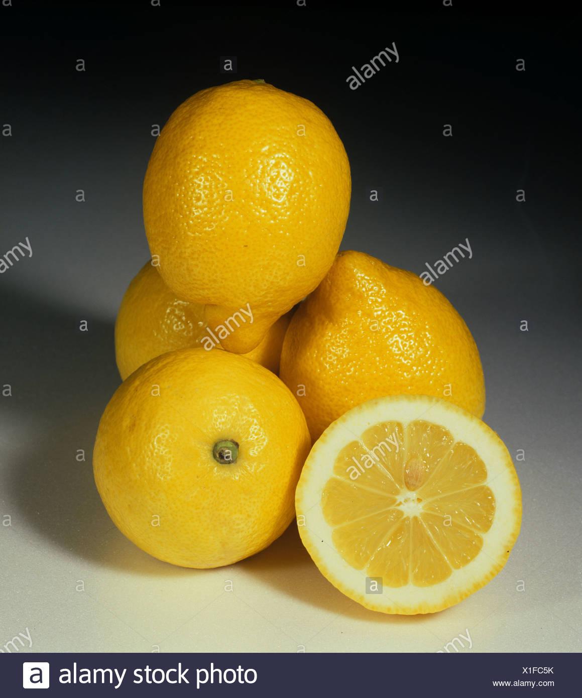 Citrus Lemon Assorted Standard - View 12 from www redcrocus com