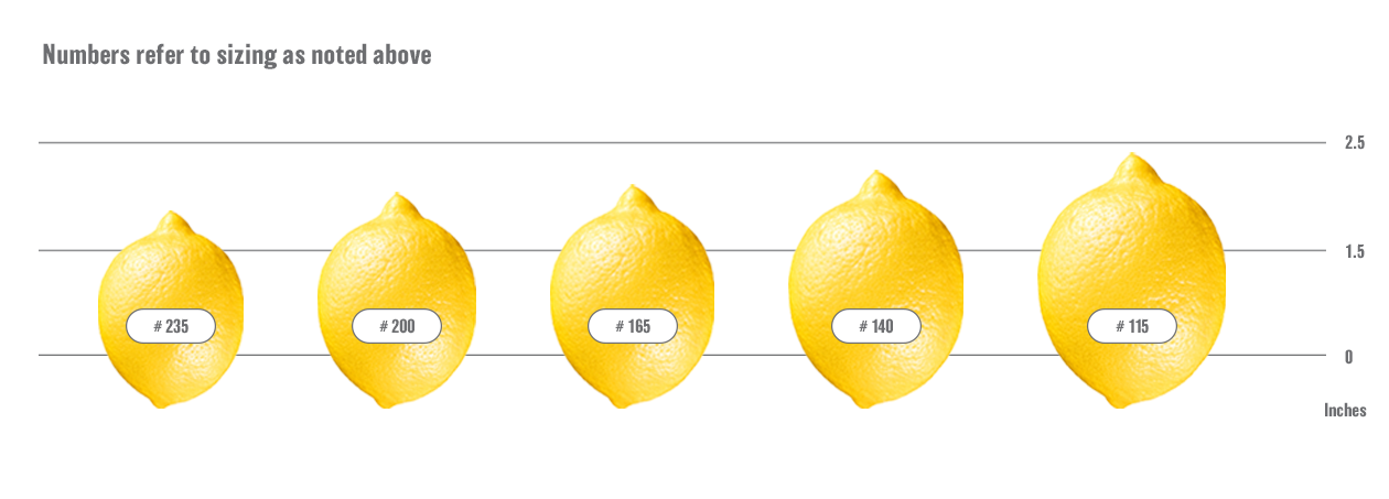 Citrus Lemon Assorted Standard - View 17 from www redcrocus com