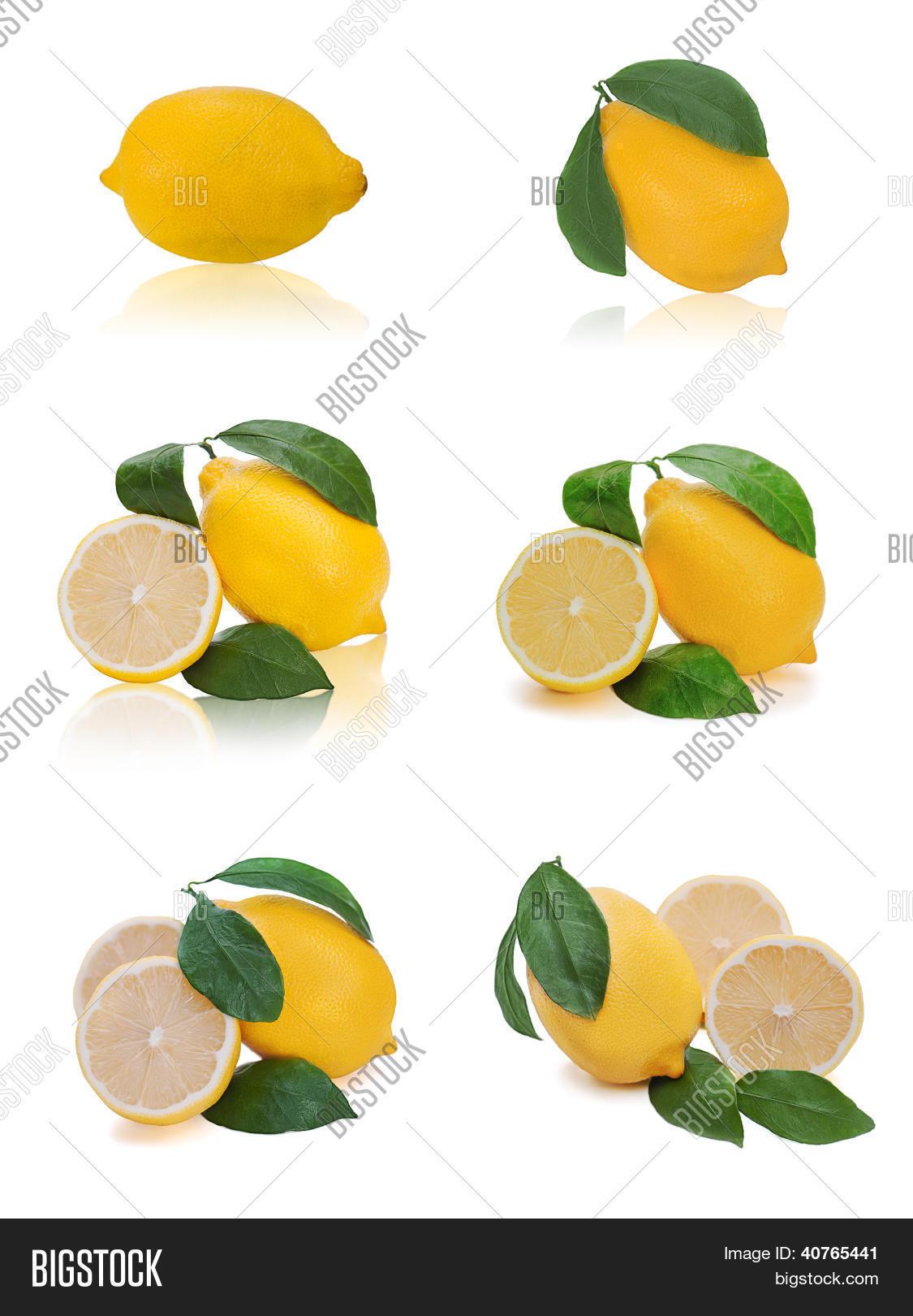 Citrus Lemon Assorted Standard - View 4 from www redcrocus com