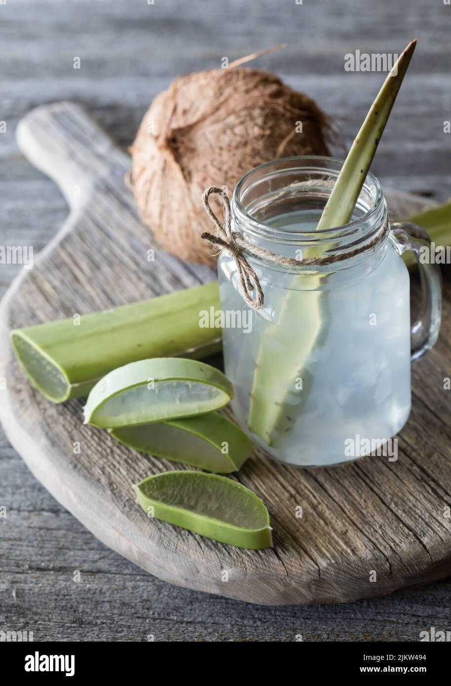 Aloe Vera Assorted - View 16 from www redcrocus com
