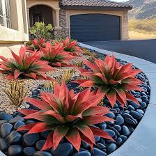 Agave–Assorted–Architectural Succulent 4" Pot (Pack of 4)