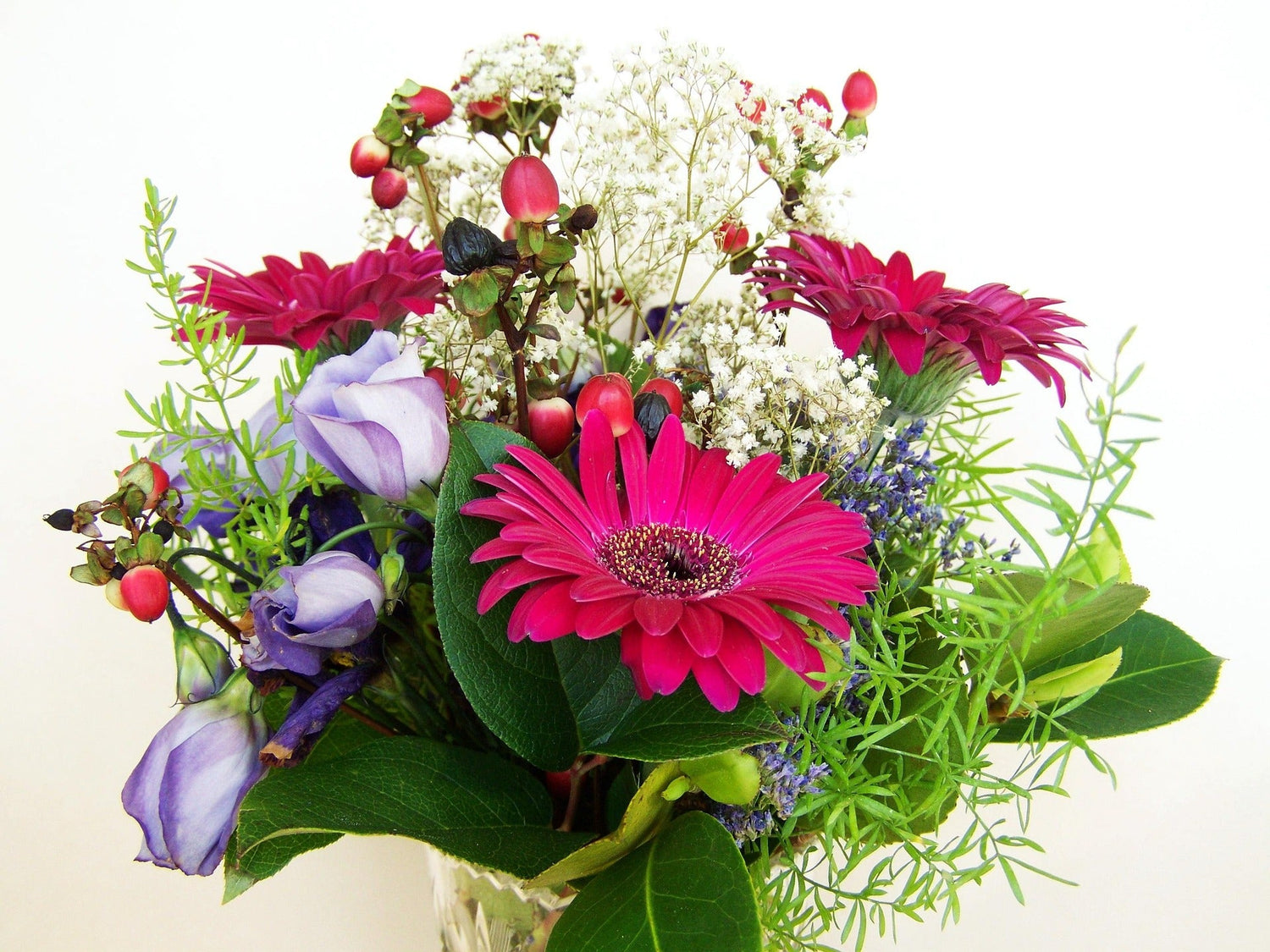 Cut Flower Garden