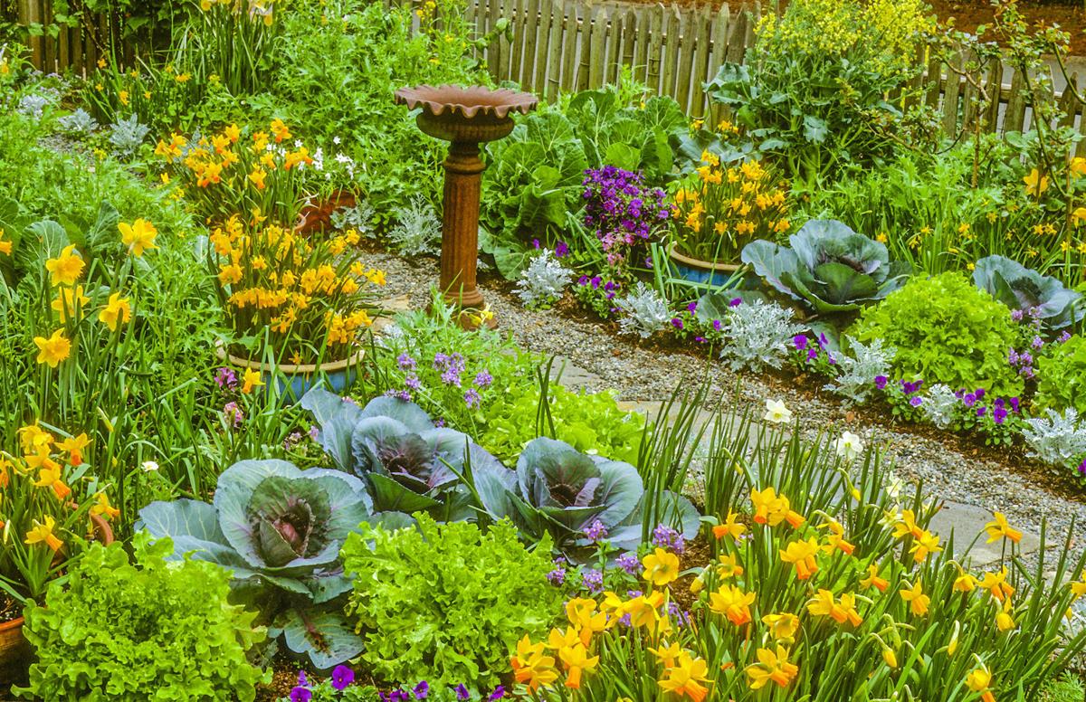 Edible Gardens
