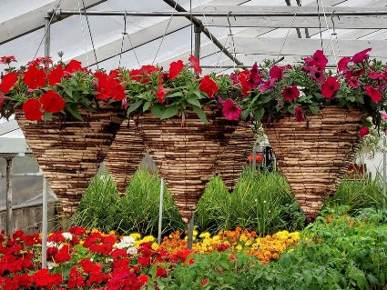 Hanging Baskets