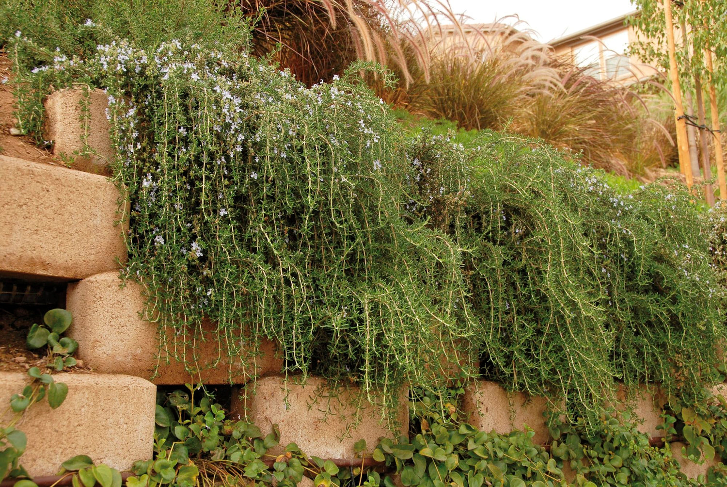 Cascading and Trailing