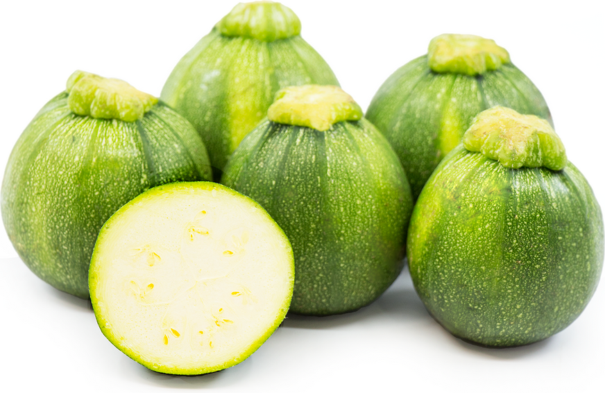 V023 Squash Ball S Zucchini 2 - View 15 from www redcrocus com