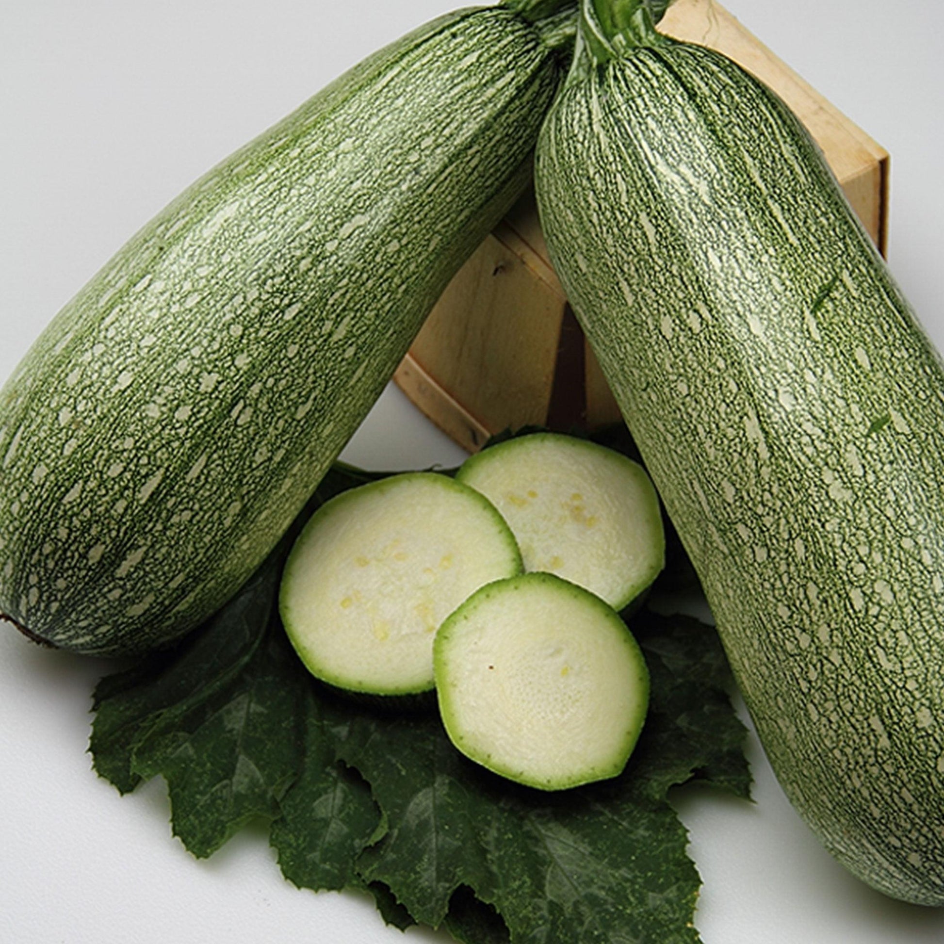 V023 Squash Ball S Zucchini 2 - View 16 from www redcrocus com