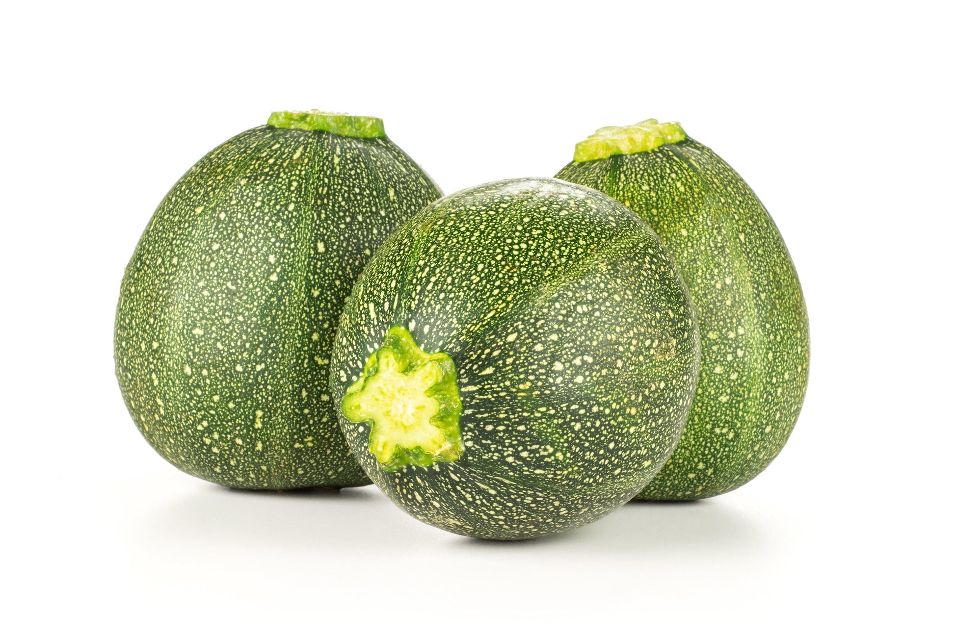 V023 Squash Ball S Zucchini 2 - View 8 from www redcrocus com