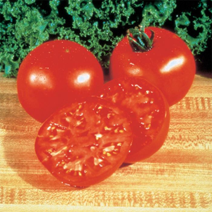 V026 Tomato Big Boy - View 3 from www redcrocus com