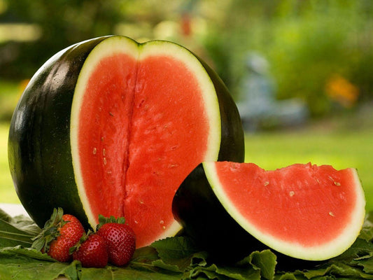 V035 Watermelon Sugar Baby - View 1 from www redcrocus com