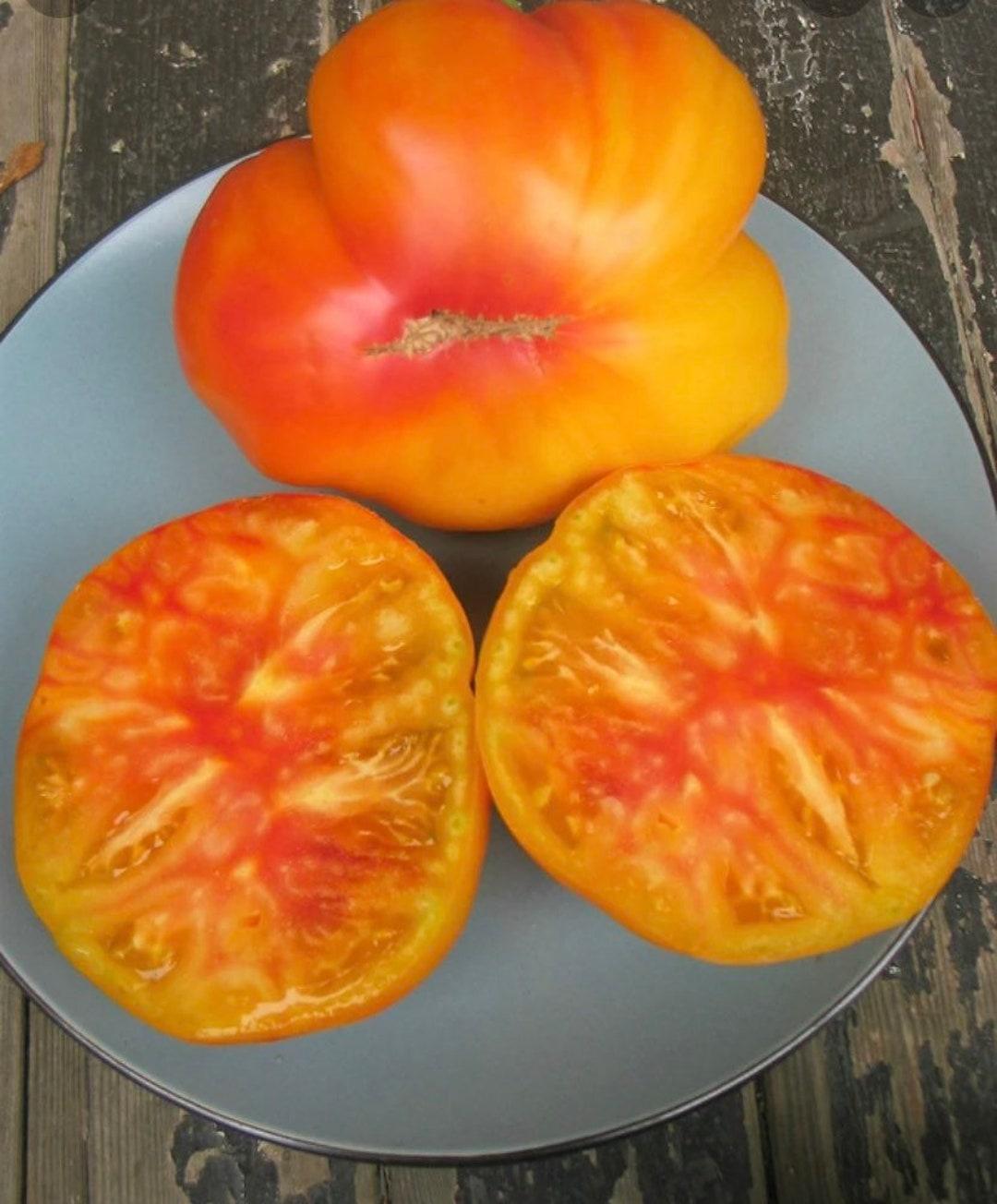 V049 Tomato Gold Medal (heirloom) - View 13 from www redcrocus com