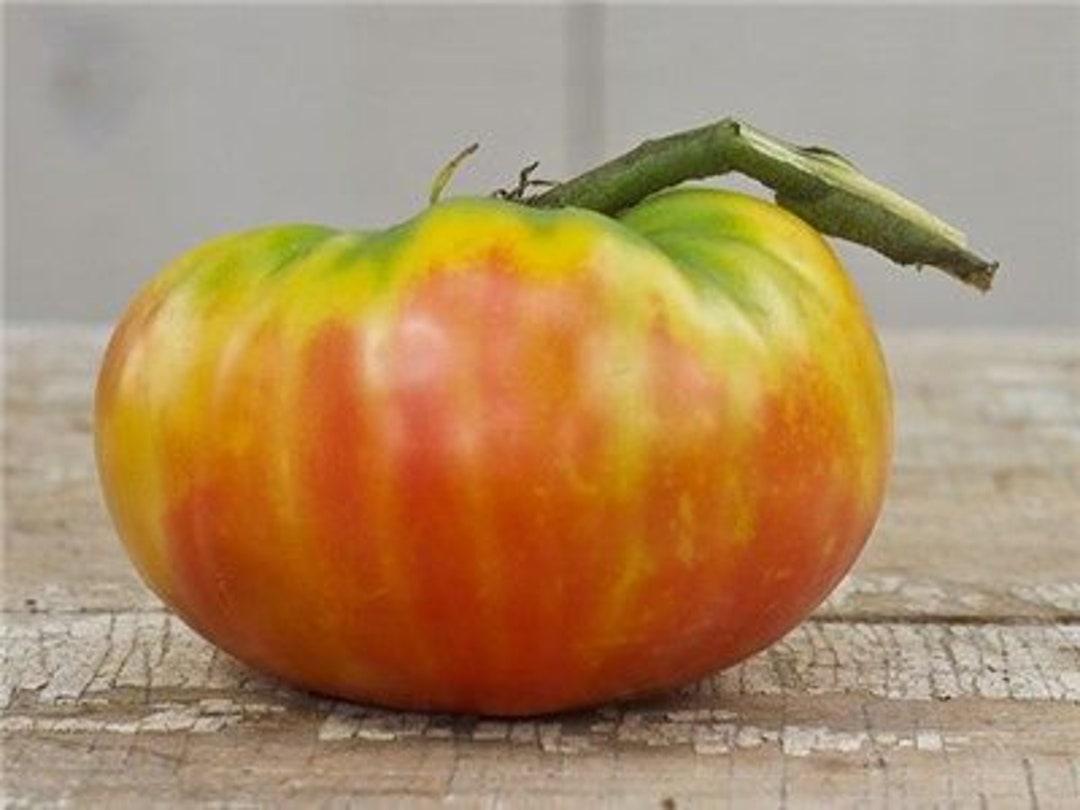 V049 Tomato Gold Medal (heirloom) - View 14 from www redcrocus com