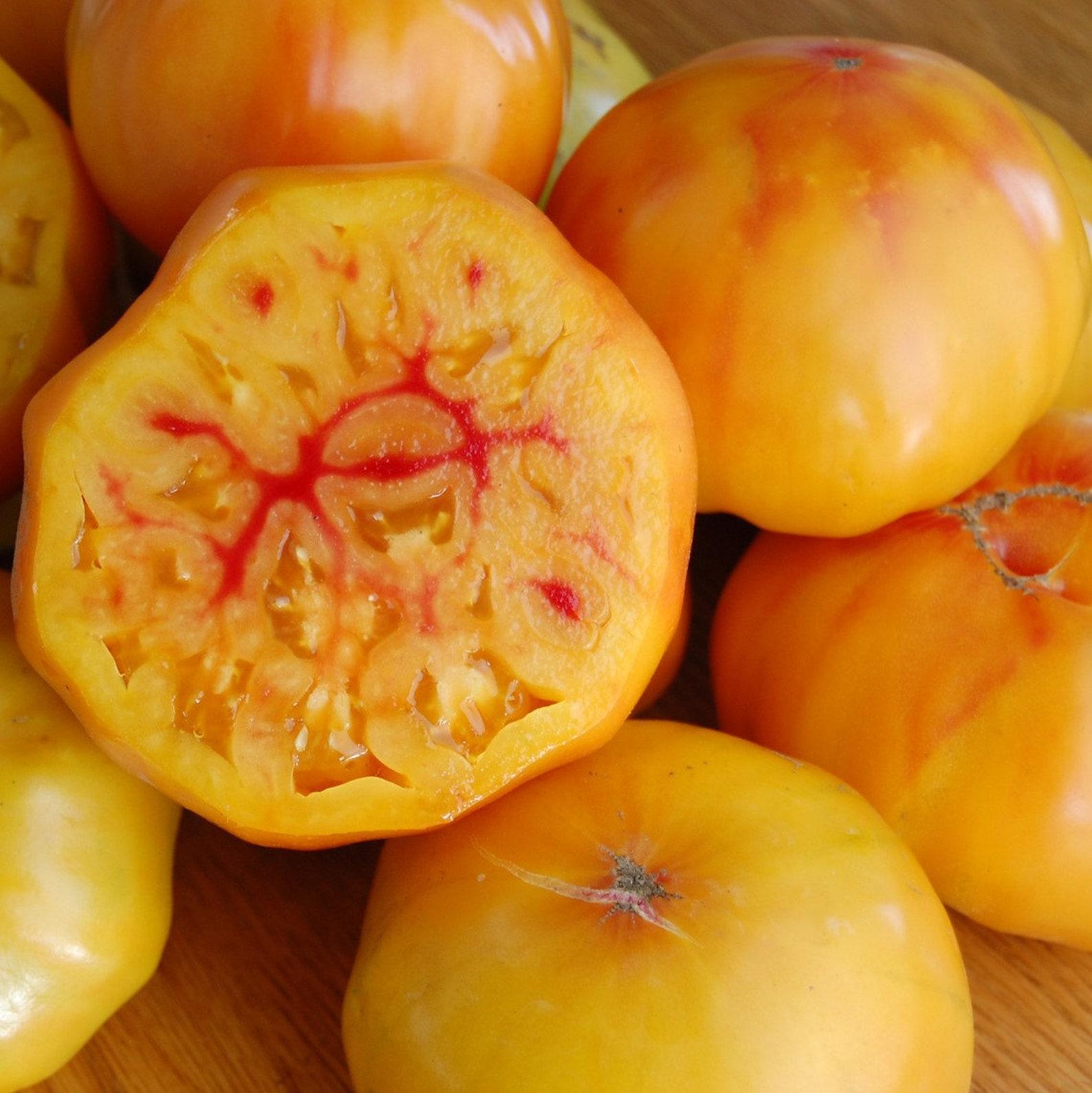 V049 Tomato Gold Medal (heirloom) - View 4 from www redcrocus com