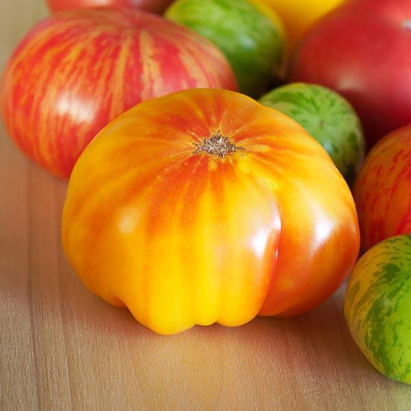 V049 Tomato Gold Medal (heirloom) - View 7 from www redcrocus com