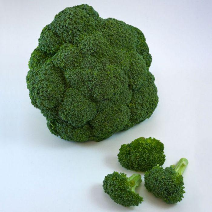 V056 Broccoli Lieutenant - View 12 from www redcrocus com