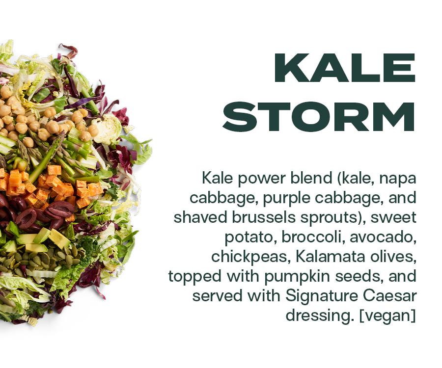 V064 Kale Kale Storm - View 10 from www redcrocus com