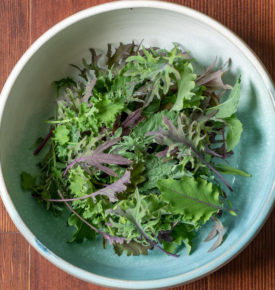 V064 Kale Kale Storm - View 9 from www redcrocus com