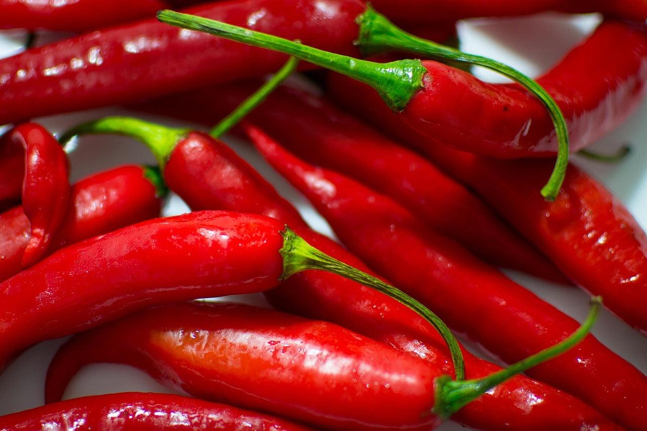 V072 Pepper Super Chili - View 11 from www redcrocus com